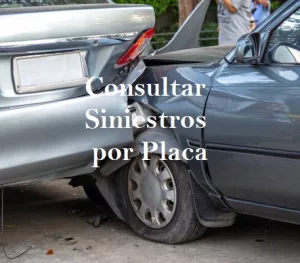 Consultar Siniestros por Placa Gratis