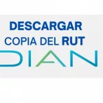 Descargar RUT Persona Natural sin Contraseña