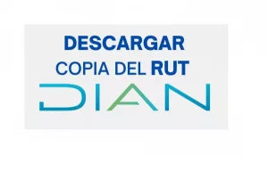 Descargar RUT Persona Natural sin Contraseña