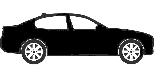 Licencia de Conducir Tipo B