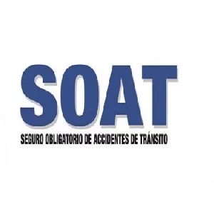 SOAT Consultar Seguro Obligatorio