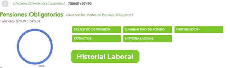 Historia Laboral Skandia